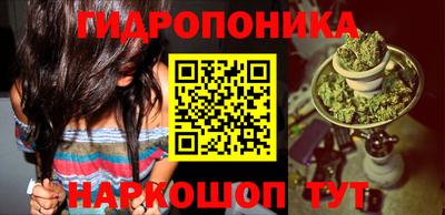 прущая мука Гай